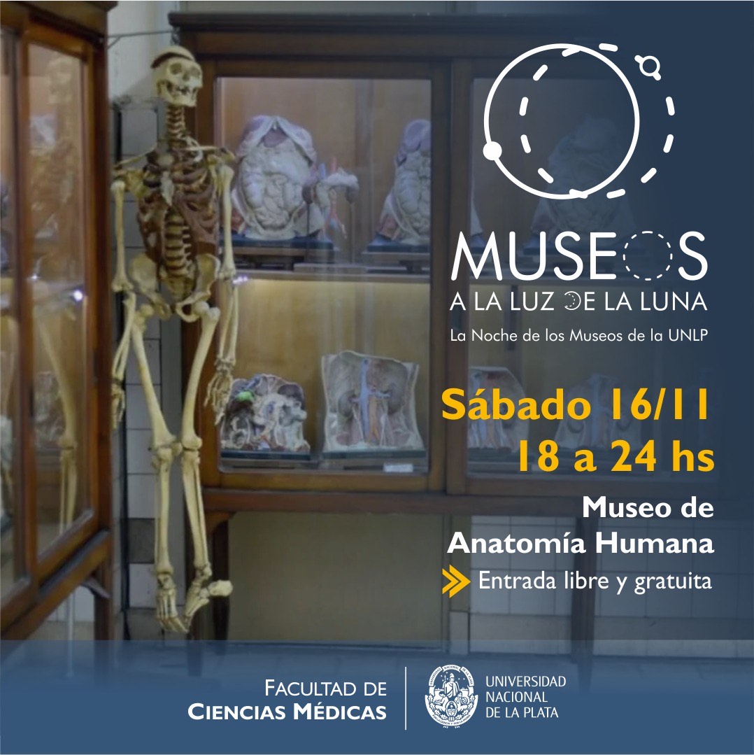 2024 11 museos