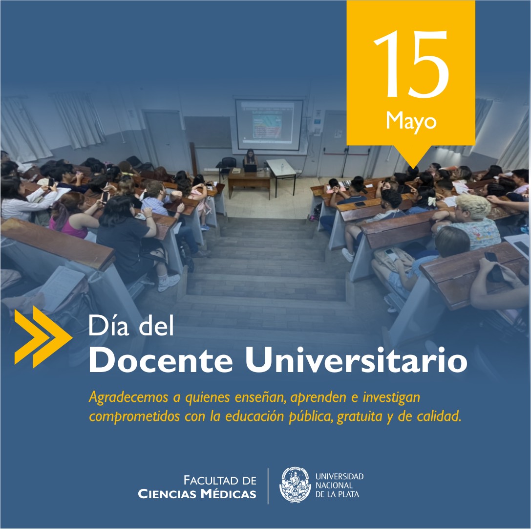 2024 dia docente universitario