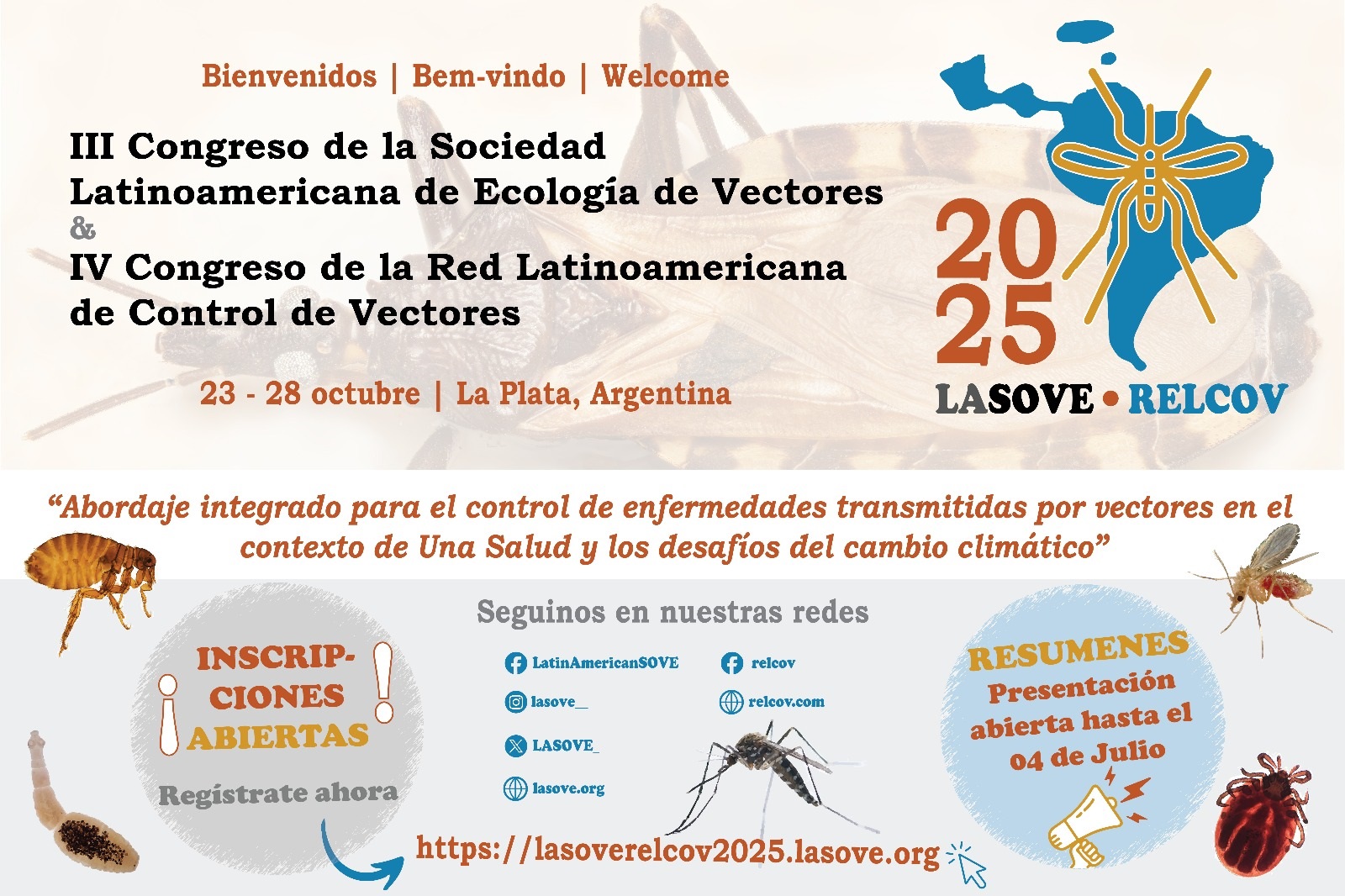 Flyer general español