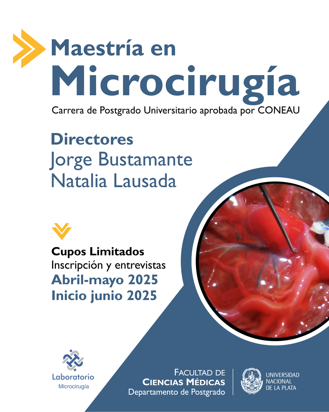 Microcirugía maestria 1